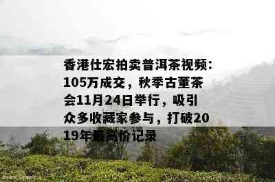 仕宏拍卖普洱茶视频：105万成交，秋季古董茶会11月24日举行，吸引众多收藏家参与，打破2019年更高价记录