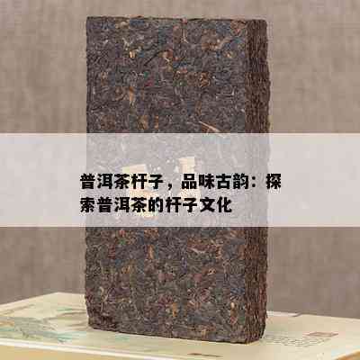 普洱茶杆子，品味古韵：探索普洱茶的杆子文化