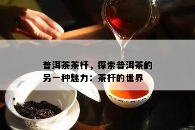 普洱茶茶杆，探索普洱茶的另一种魅力：茶杆的世界