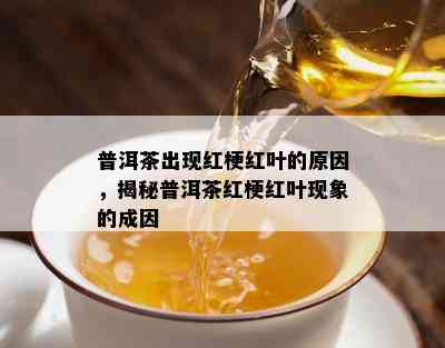 普洱茶出现红梗红叶的原因，揭秘普洱茶红梗红叶现象的成因