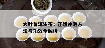 大叶普洱生茶：正确冲泡方法与功效全解析