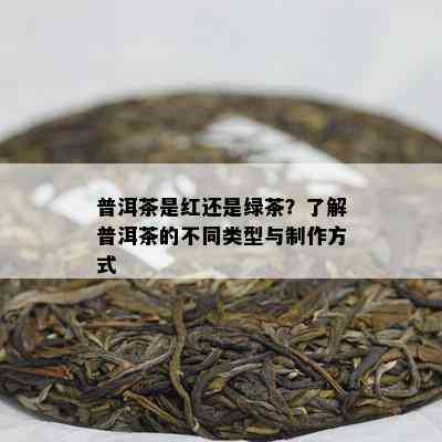 普洱茶是红还是绿茶？了解普洱茶的不同类型与制作方式