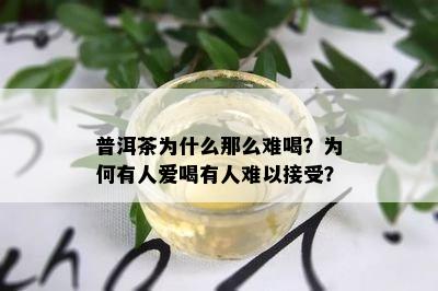 普洱茶为什么那么难喝？为何有人爱喝有人难以接受？