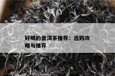 好喝的普洱茶推荐：选购攻略与推荐