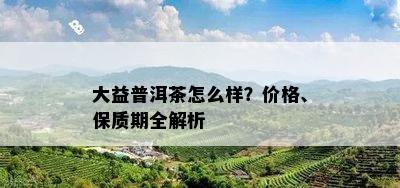 大益普洱茶怎么样？价格、保质期全解析