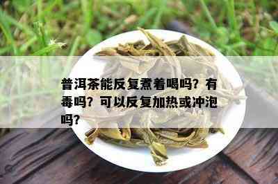 普洱茶能反复煮着喝吗？有吗？可以反复加热或冲泡吗？