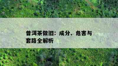 普洱茶做旧：成分、危害与套路全解析