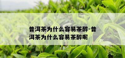 普洱茶为什么容易茶醉-普洱茶为什么容易茶醉呢