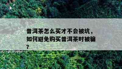 普洱茶怎么买才不会被坑，如何避免购买普洱茶时被骗？