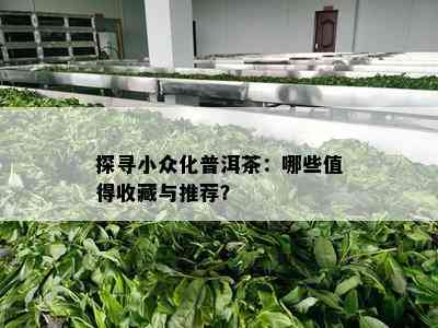 探寻小众化普洱茶：哪些值得收藏与推荐？