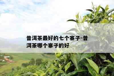 普洱茶更好的七个寨子-普洱茶哪个寨子的好