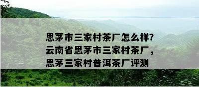 思茅市三家村茶厂怎么样？云南省思茅市三家村茶厂，思茅三家村普洱茶厂评测