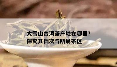 大雪山普洱茶产地在哪里？探究其档次与所属茶区