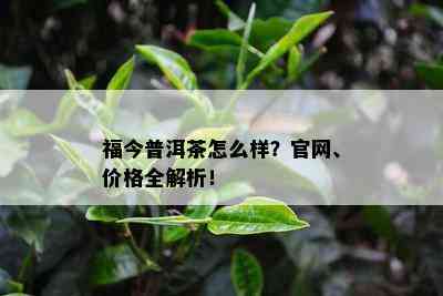 福今普洱茶怎么样？官网、价格全解析！