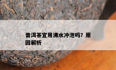 普洱茶宜用沸水冲泡吗？原因解析