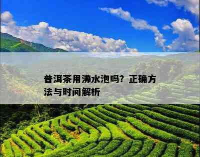 普洱茶用沸水泡吗？正确方法与时间解析