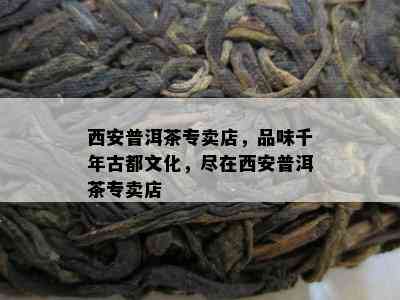 西安普洱茶专卖店，品味千年古都文化，尽在西安普洱茶专卖店