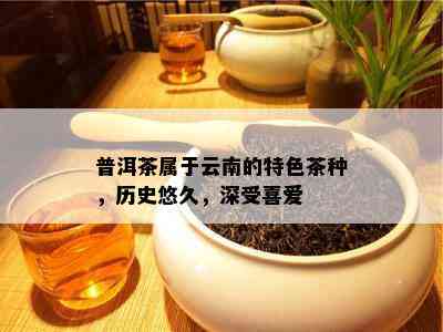 普洱茶属于云南的特色茶种，历史悠久，深受喜爱