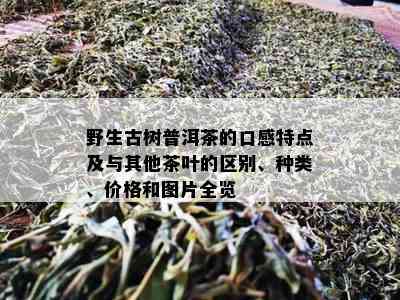 野生古树普洱茶的口感特点及与其他茶叶的区别、种类、价格和图片全览