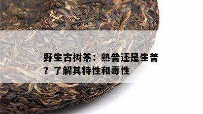 野生古树茶：熟普还是生普？了解其特性和性