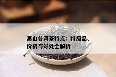 高山普洱茶特点：特级品、价格与好处全解析