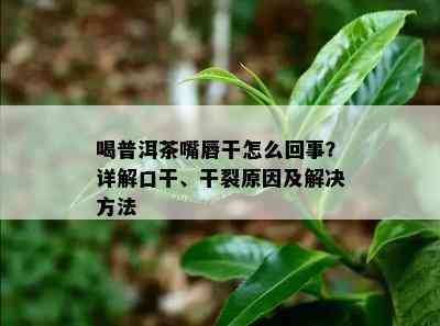 喝普洱茶嘴唇干怎么回事？详解口干、干裂原因及解决方法