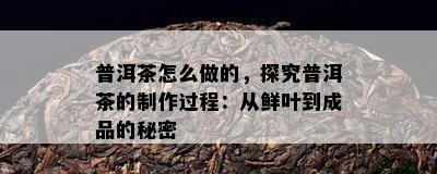 普洱茶怎么做的，探究普洱茶的制作过程：从鲜叶到成品的秘密