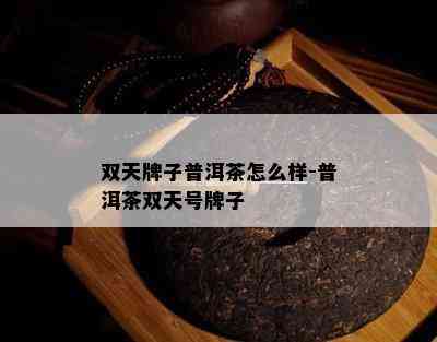 双天牌子普洱茶怎么样-普洱茶双天号牌子