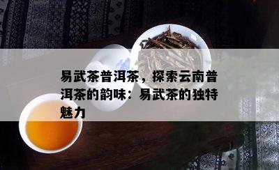 易武茶普洱茶，探索云南普洱茶的韵味：易武茶的独特魅力