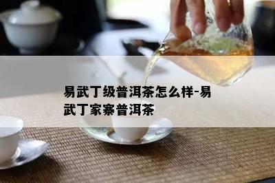 易武丁级普洱茶怎么样-易武丁家寨普洱茶