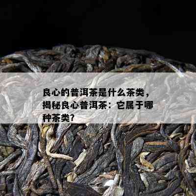 良心的普洱茶是什么茶类，揭秘良心普洱茶：它属于哪种茶类？