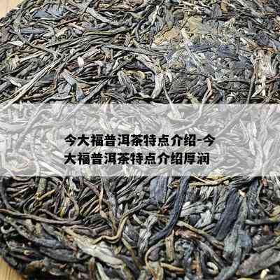 今大福普洱茶特点介绍-今大福普洱茶特点介绍厚润