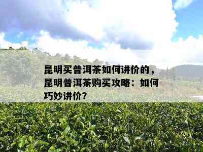 昆明买普洱茶如何讲价的，昆明普洱茶购买攻略：如何巧妙讲价？