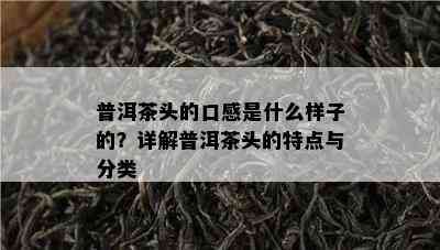 普洱茶头的口感是什么样子的？详解普洱茶头的特点与分类