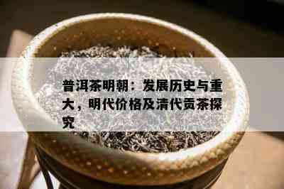 普洱茶明朝：发展历史与重大，明代价格及清代贡茶探究