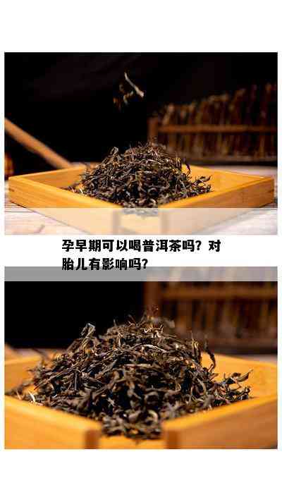 孕早期可以喝普洱茶吗？对胎儿有影响吗？