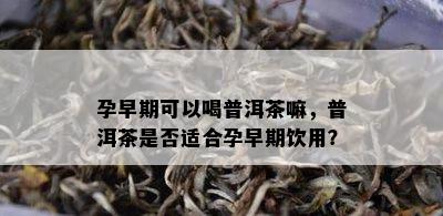 孕早期可以喝普洱茶嘛，普洱茶是否适合孕早期饮用？