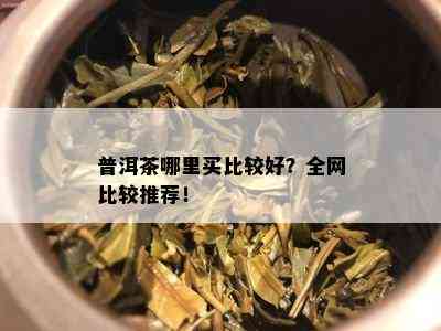 普洱茶哪里买比较好？全网比较推荐！