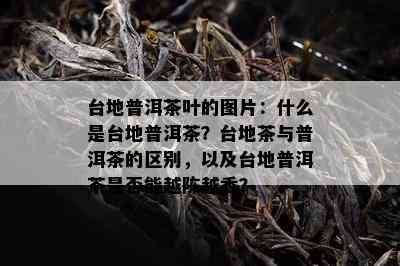 台地普洱茶叶的图片：什么是台地普洱茶？台地茶与普洱茶的区别，以及台地普洱茶是否能越陈越香？