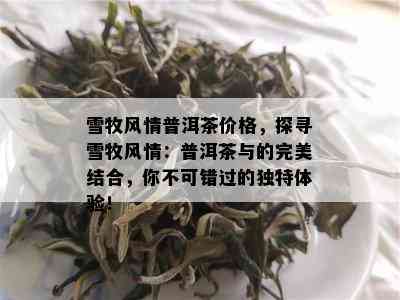 雪牧风情普洱茶价格，探寻雪牧风情：普洱茶与的完美结合，你不可错过的独特体验！