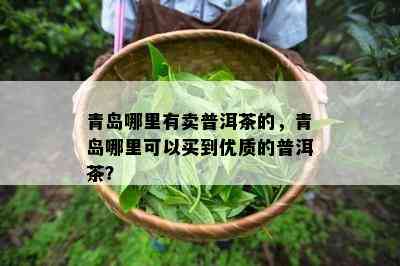 青岛哪里有卖普洱茶的，青岛哪里可以买到优质的普洱茶？