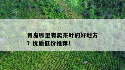 青岛哪里有卖茶叶的好地方？优质低价推荐！