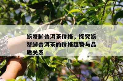 螃蟹脚普洱茶价格，探究螃蟹脚普洱茶的价格趋势与品质关系