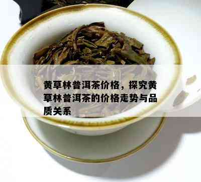 黄草林普洱茶价格，探究黄草林普洱茶的价格走势与品质关系