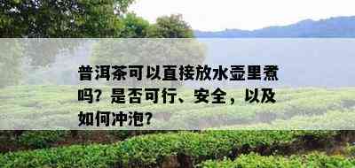 普洱茶可以直接放水壶里煮吗？是否可行、安全，以及如何冲泡？