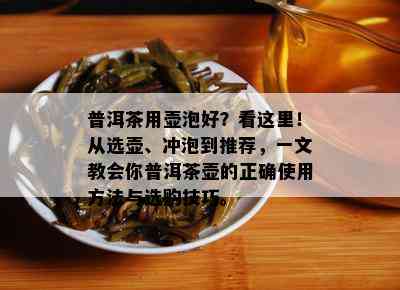 普洱茶用壶泡好？看这里！从选壶、冲泡到推荐，一文教会你普洱茶壶的正确使用方法与选购技巧。