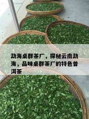 勐海桌群茶厂，探秘云南勐海，品味桌群茶厂的特色普洱茶