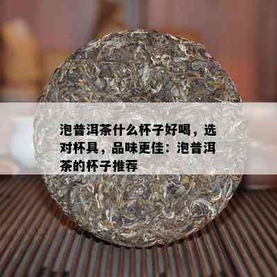 泡普洱茶什么杯子好喝，选对杯具，品味更佳：泡普洱茶的杯子推荐