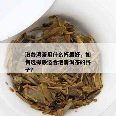 泡普洱茶用什么杯更好，如何选择最适合泡普洱茶的杯子？