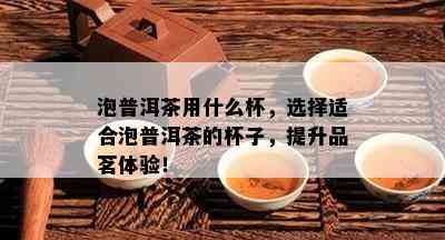 泡普洱茶用什么杯，选择适合泡普洱茶的杯子，提升品茗体验！